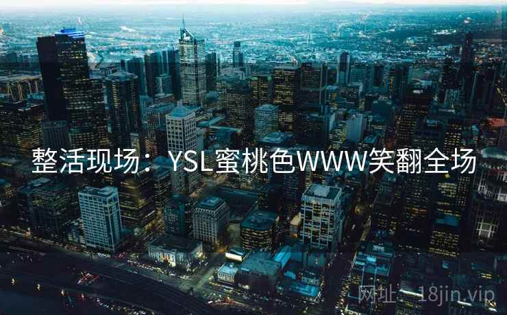 整活现场：YSL蜜桃色WWW笑翻全场