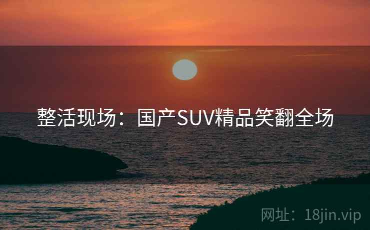 整活现场：国产SUV精品笑翻全场