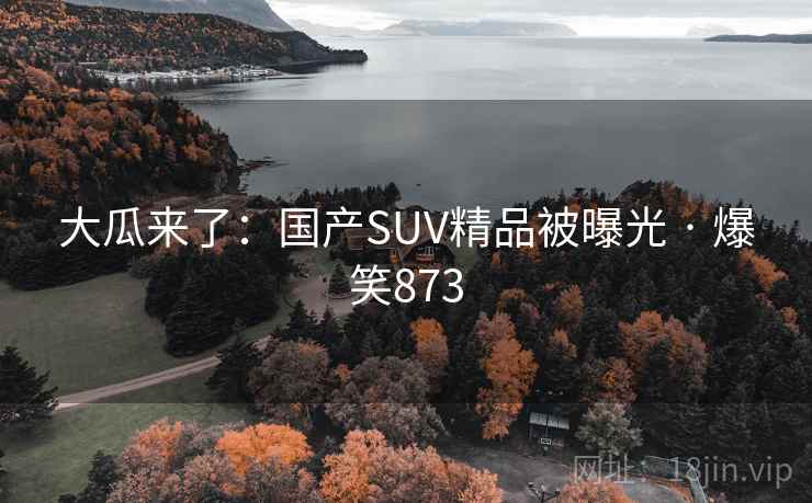 大瓜来了：国产SUV精品被曝光 · 爆笑873