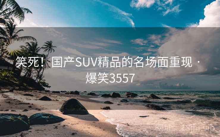笑死！国产SUV精品的名场面重现 · 爆笑3557